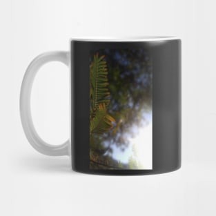 Sunny ferm bracken Mug